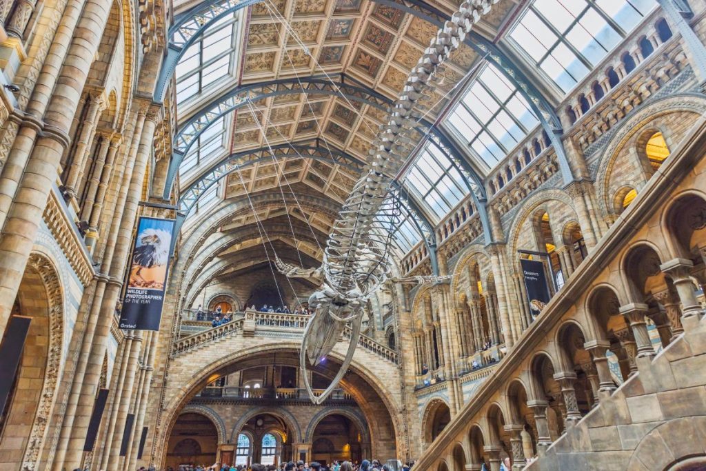 Natural History Museum dinosaur entrance - free museum for 2-day London itinerary with kids