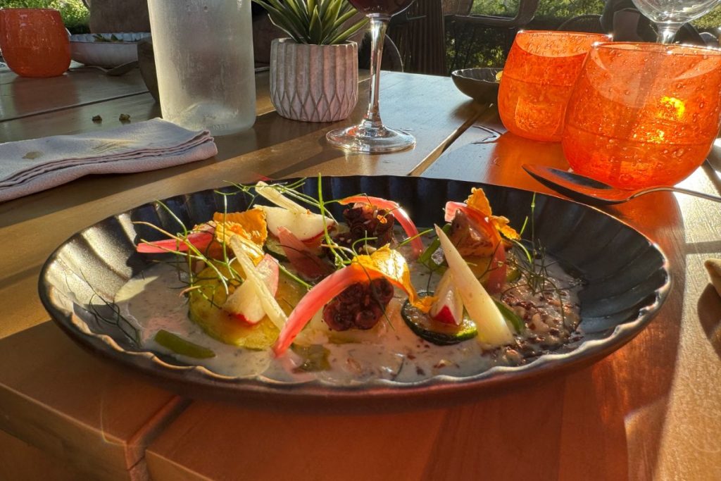 Dinner at La Table de Mentone with garden vegetables and estate wines