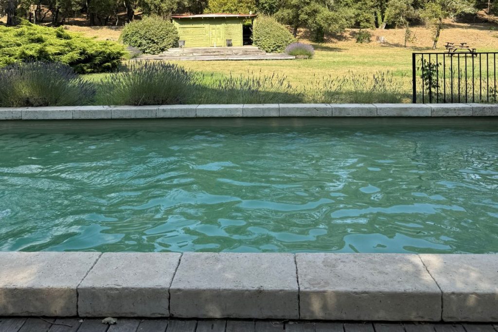 Main pool at Château Mentone wine estate in Provence with loungers and shade trees